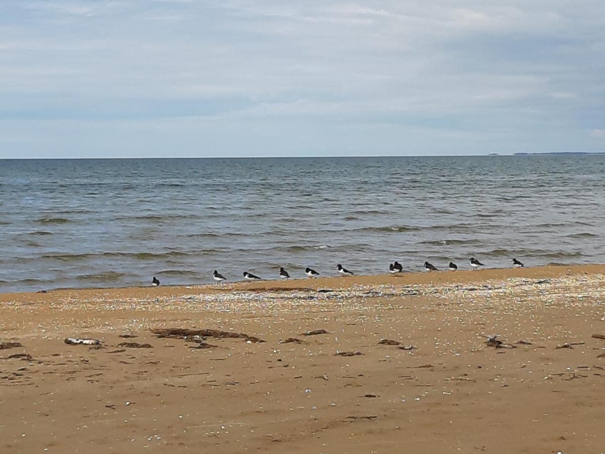 Strandläge Skummeslovsstrand Exteriör bild